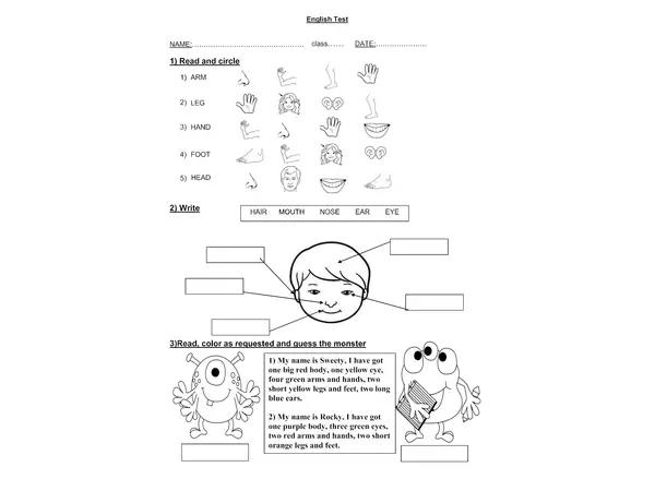 Guía o evaluación de las partes del cuerpo