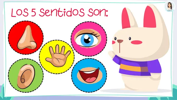 Cuidado de los órganos de los sentidos