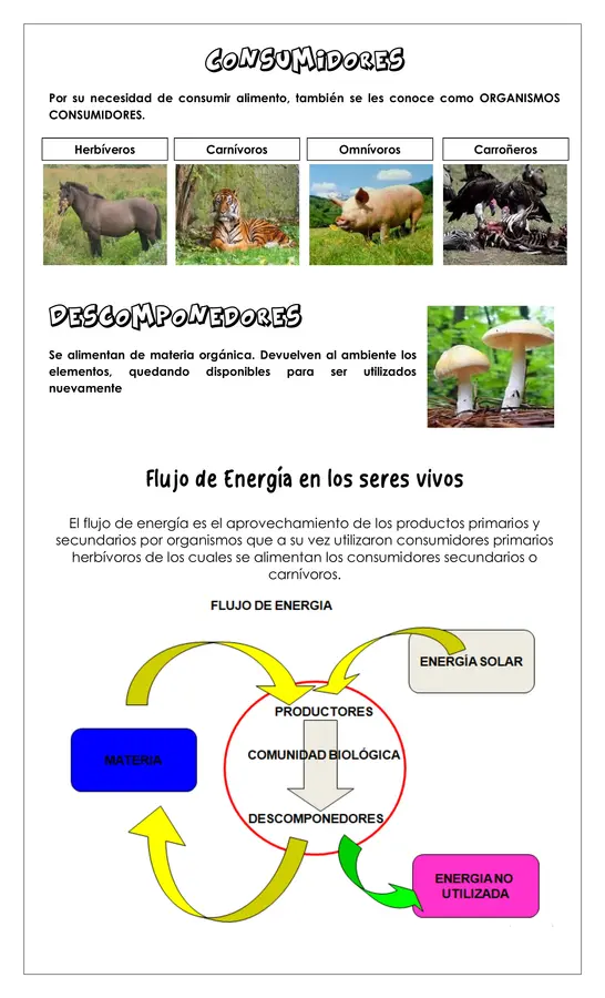 Guía - Organismos y medioambiente