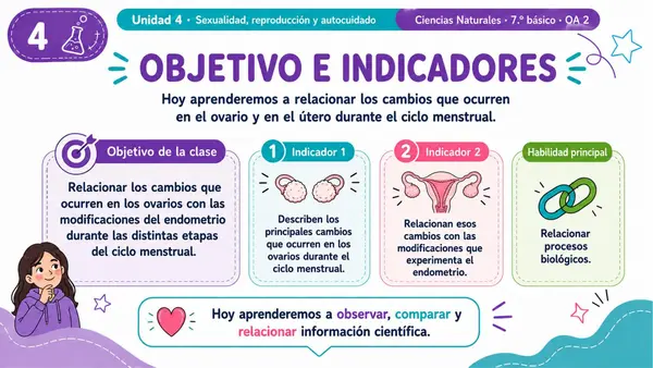7MO OA 2 - CICLO MENSTRUAL OVARIOS Y ÚTERO