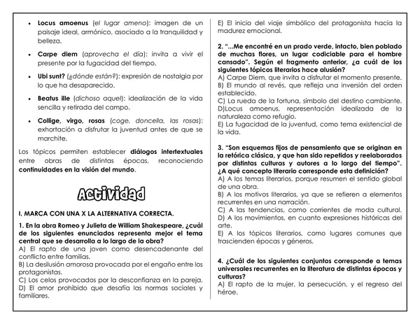 Guía de trabajo - Temas, motivos y tópicos