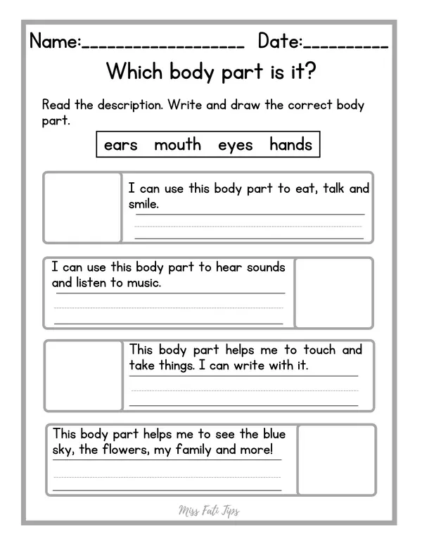 Ficha de trabajo "Which body parts is it?"