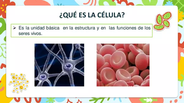 "La historia de la célula"