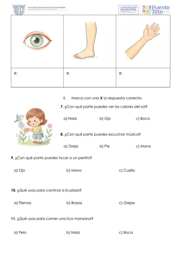 Actividad o Prueba Partes del cuerpo