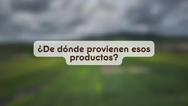 Los recursos naturales de Chile | Quinto Básico