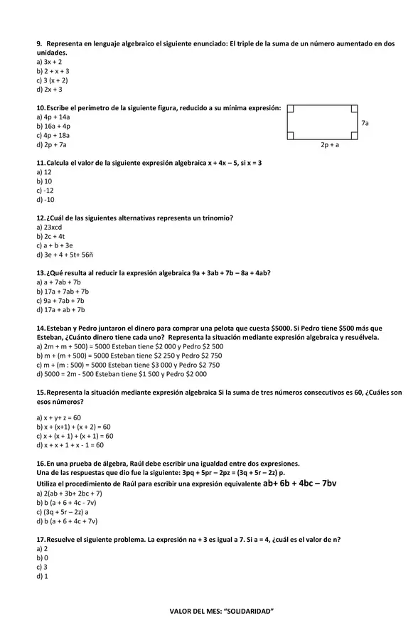 Prueba Expresiones Algebraicas 7mo