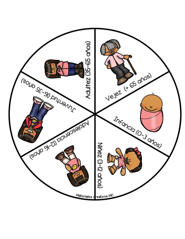 RULETA DE LAS ETAPAS DEL CICLO VITAL 