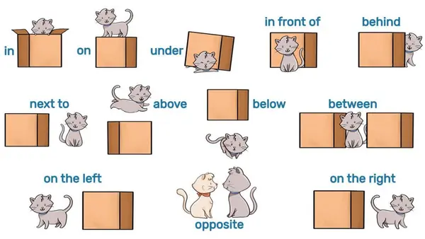 🧠📍 Prepositions of Place – ¡Clase interactiva de inglés!
