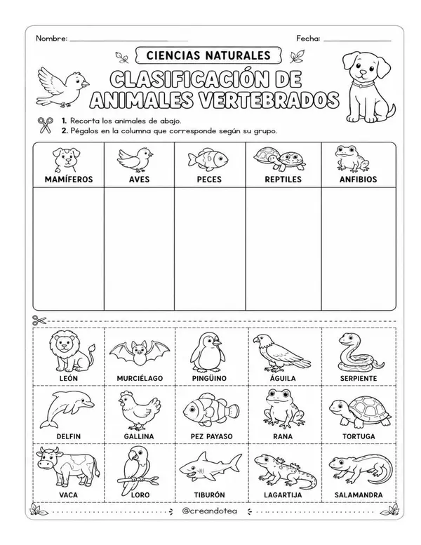 Guía de practica de cs. naturales de los animales vertebrados e invertebrados