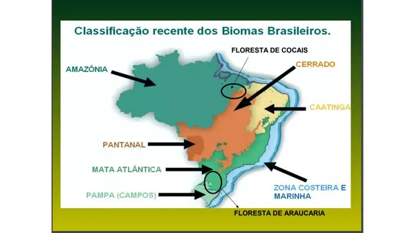 Biomas brasileiros. América