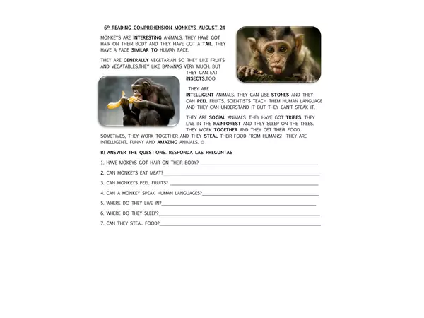 Reading Comprehension about Monkeys