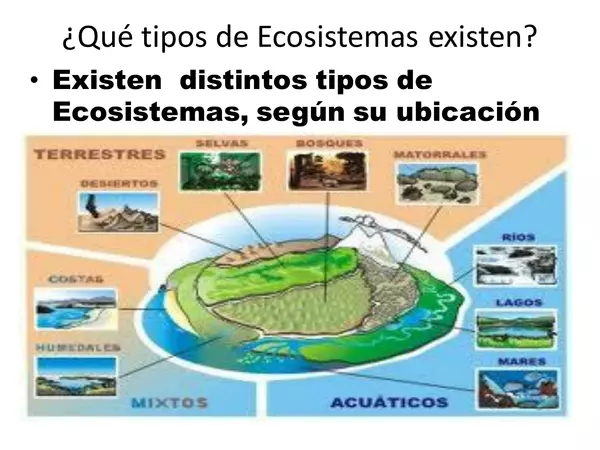 Ecosistemas y fotosíntesis"