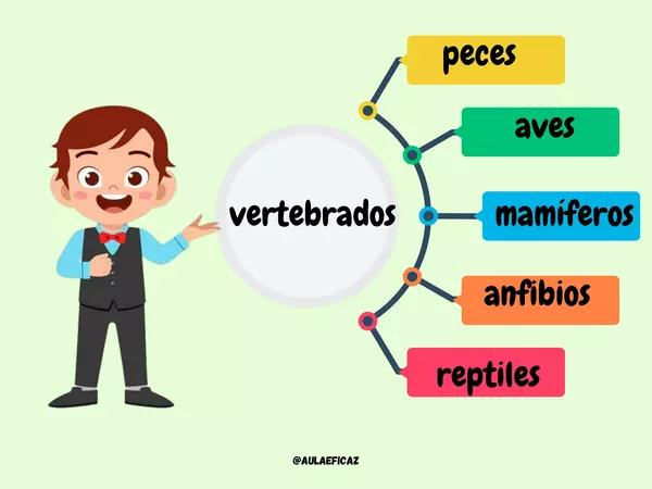 Animales vertebrados, ¿qué son los vertebrados?