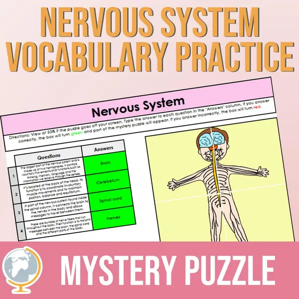Nervous System Mystery Puzzle