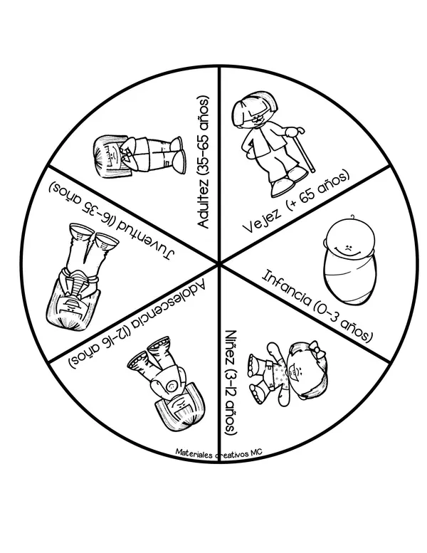 RULETA DE LAS ETAPAS DEL CICLO VITAL 
