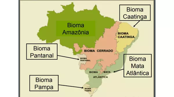 Biomas brasileiros. América