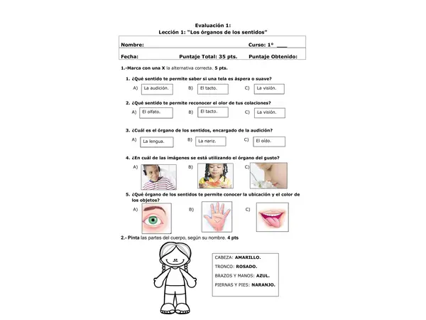 Evaluación de los organos de los sentidos