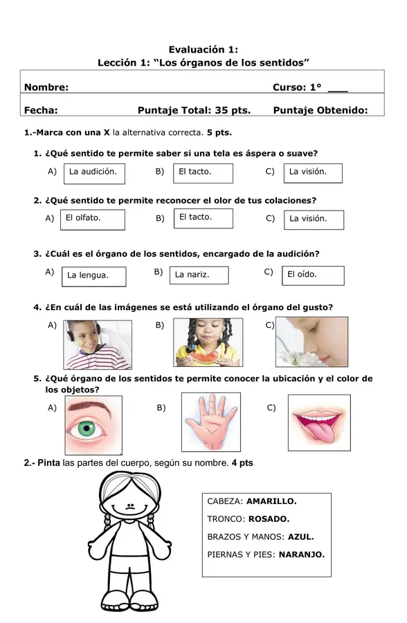 Evaluación de los organos de los sentidos