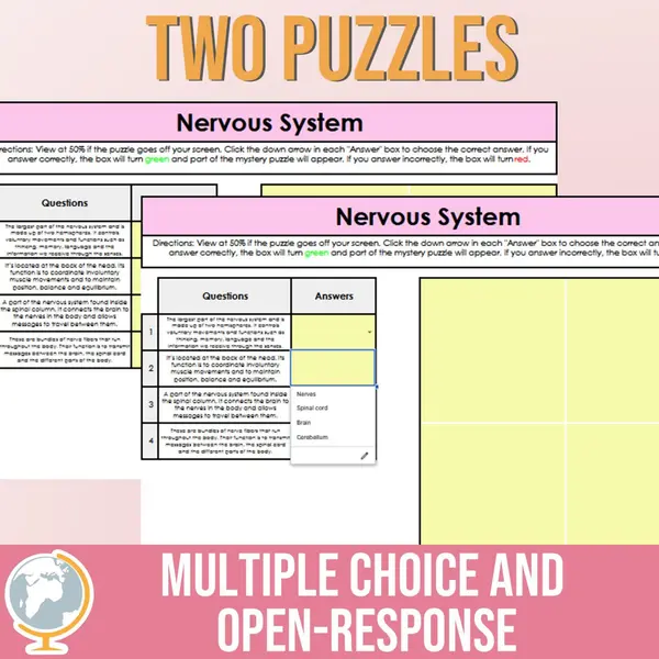 Nervous System Mystery Puzzle
