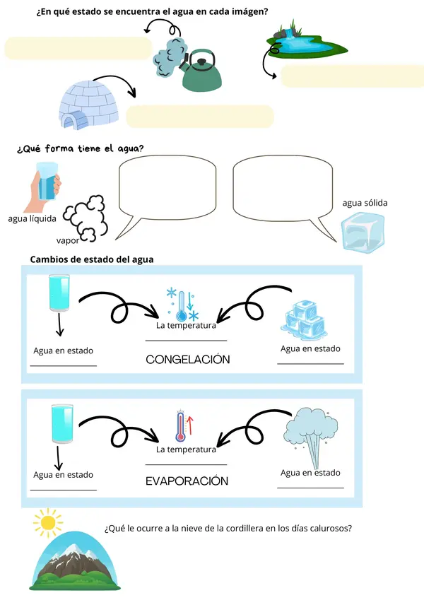 Transformación del Agua: Ficha sobre Cambios de Estado y el Ciclo del Agua