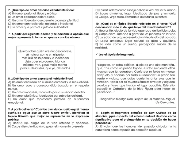 Guía de trabajo - Temas, motivos y tópicos