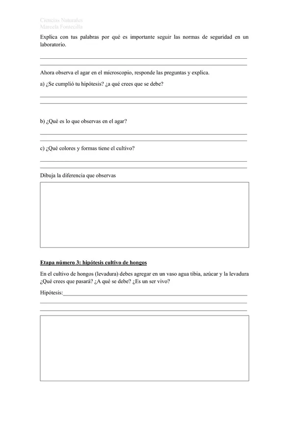 Trabajo con microorganismos