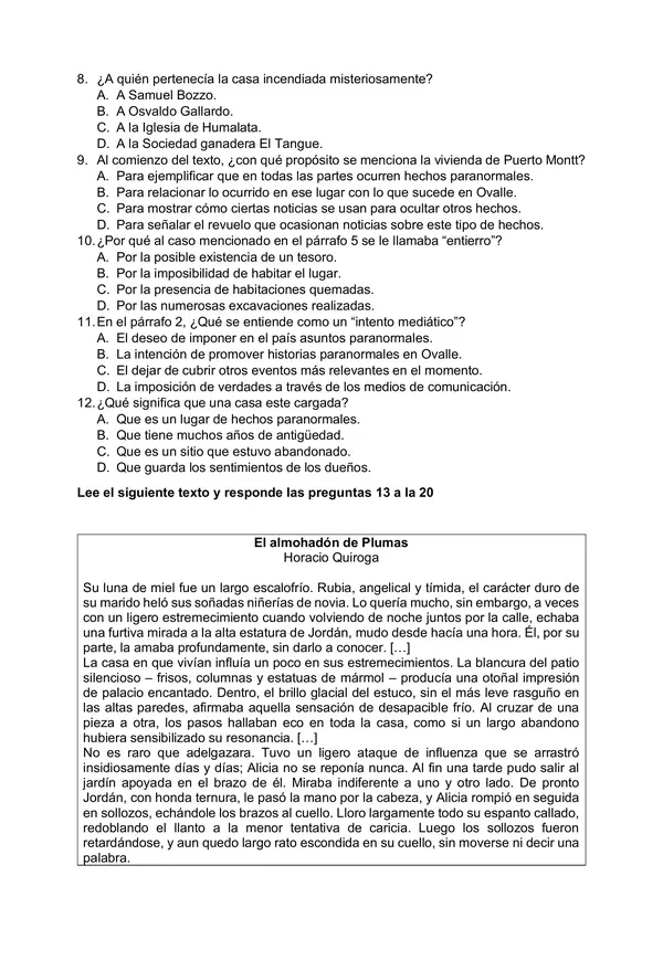 Ensayo SIMCE de Lenguaje - Segundo Medio