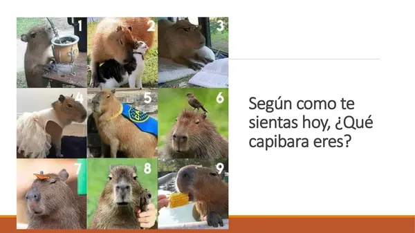 “Jugando con el tiempo: Secuencias Temporales en la Narración”