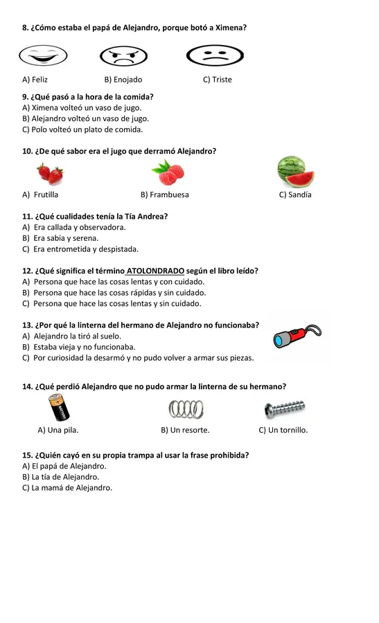 EVALUACIÓN PLAN LECTOR: FUE SIN QUERER