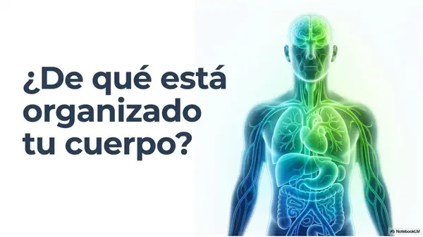 Niveles de Organización del Organismo | PPT Ciencias 5° Básico