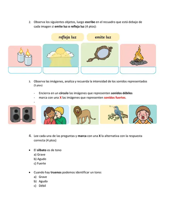 Evaluación luz y sonido tercero básico"