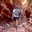 Michael Vincent Cabatingan [Cortez ES] - @michael.vincent.cabat
