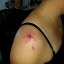 marisol bravo - @marisol.bravo1