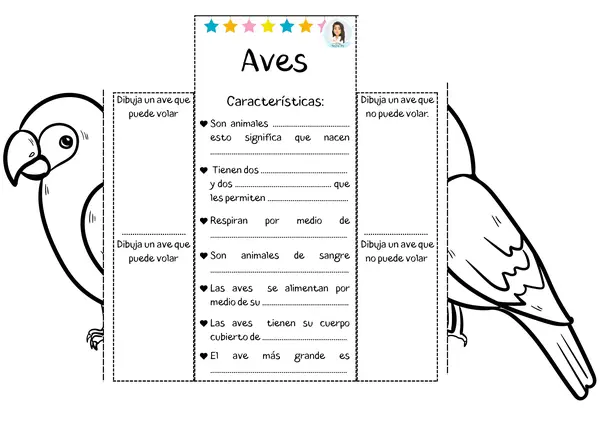 Animales vertebrados