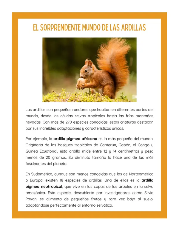 Set guías de comprensión lectora: Artículos Informativos - Simce 4to básico