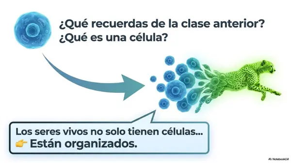 Niveles de Organización del Organismo | PPT Ciencias 5° Básico