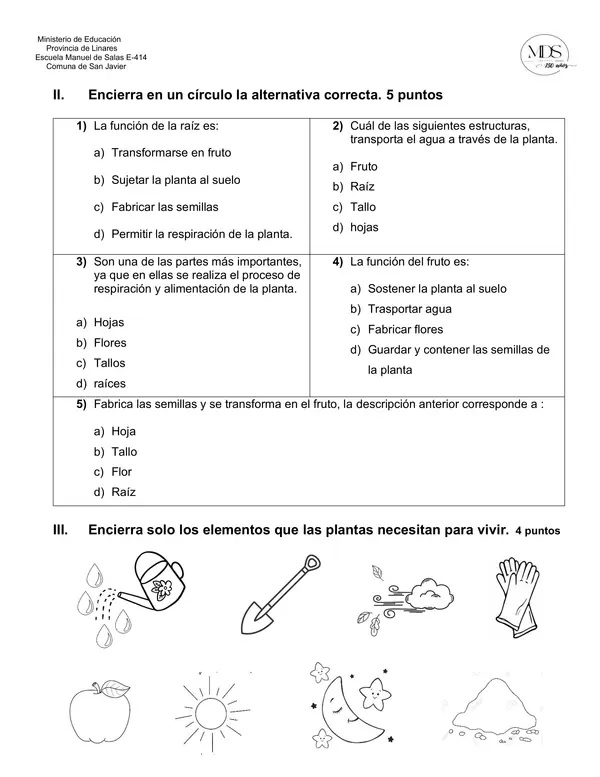Prueba ciencias 1° básico " Las plantas"