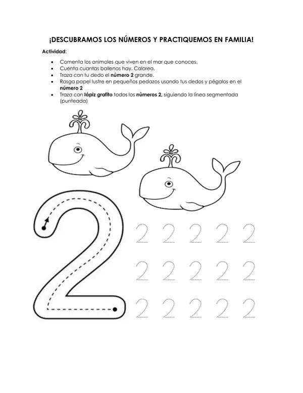 Actividad del número 2