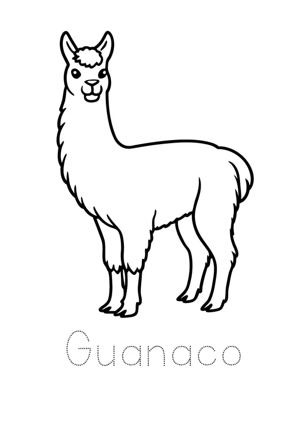 Animales sudamericanos para colorear 