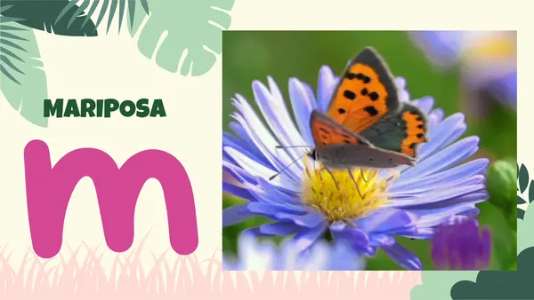 PPT letra M Clase 1