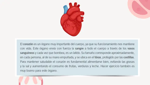 Unidad 1 "Cuidemos nuestro cuerpo" Segundo básico.