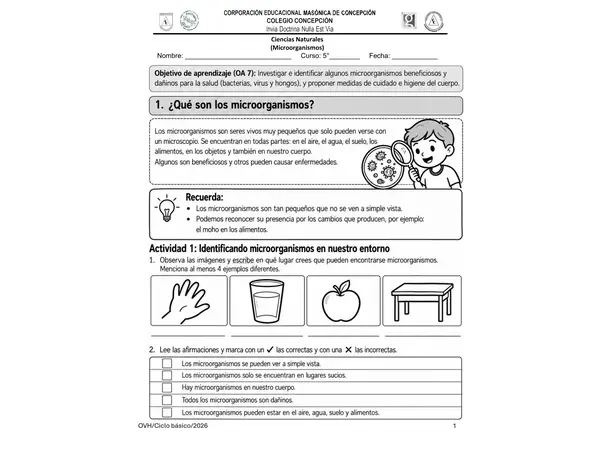 Guía Ciencias Naturales 5° Básico | Microorganismos, Bacterias, Virus, Hongos e Higiene