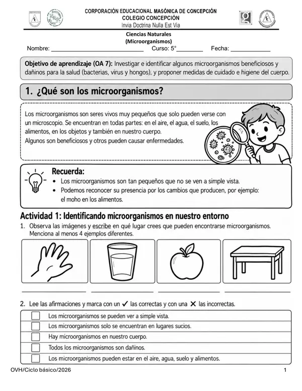 Guía Ciencias Naturales 5° Básico | Microorganismos, Bacterias, Virus, Hongos e Higiene
