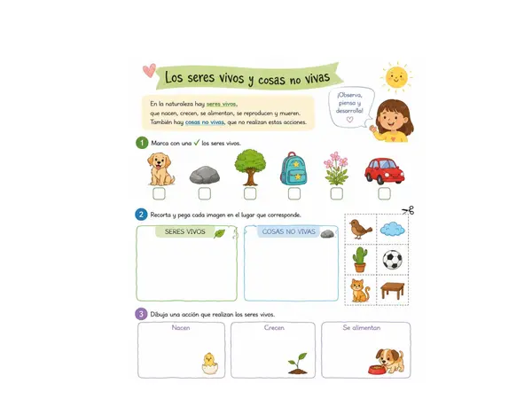 Actividades  ciencias naturales 1° básico