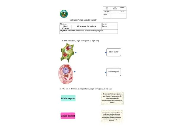 Evaluación de Ciencias " célula animal y célula vegetal"