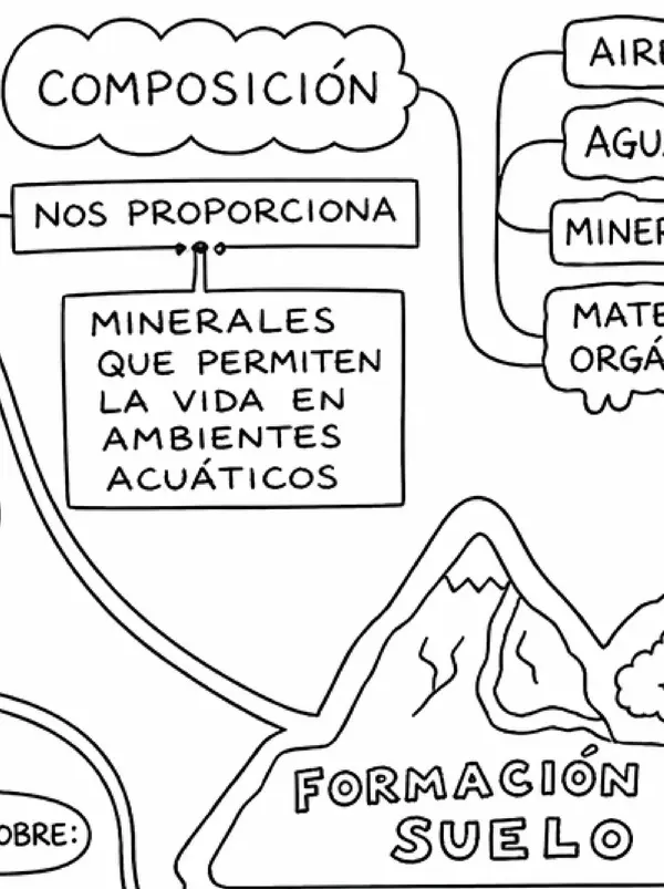 Mapa Conceptual Poster: "El suelo". 6° básico. Ciencias Unidad 1