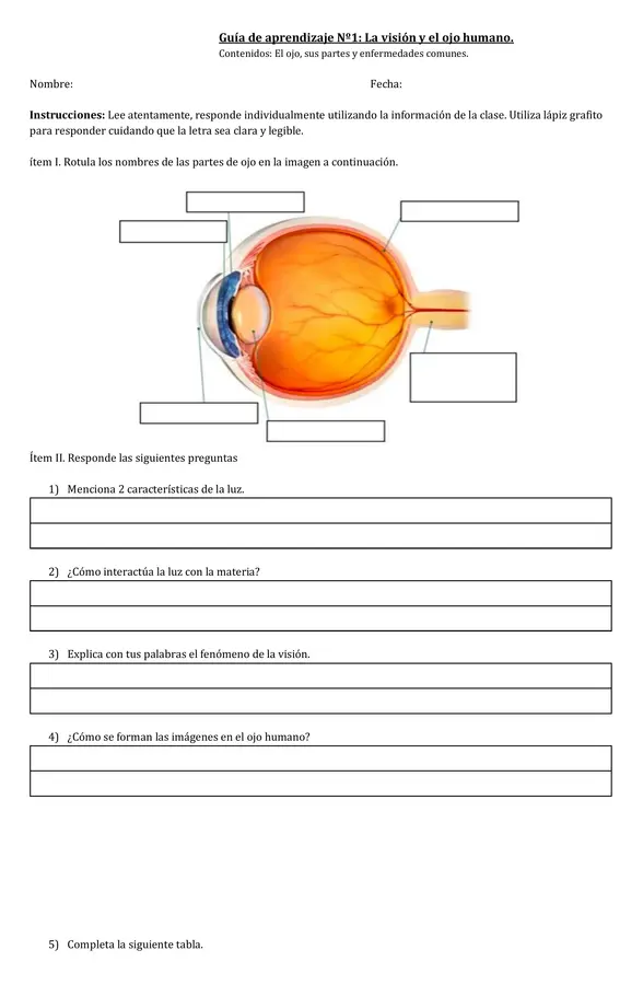 Fenómeno de la visión
