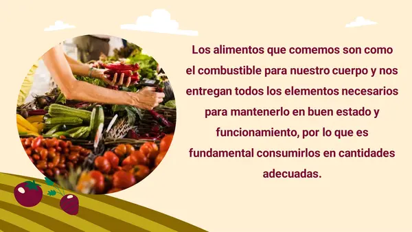 Importancia del consumo de alimentos