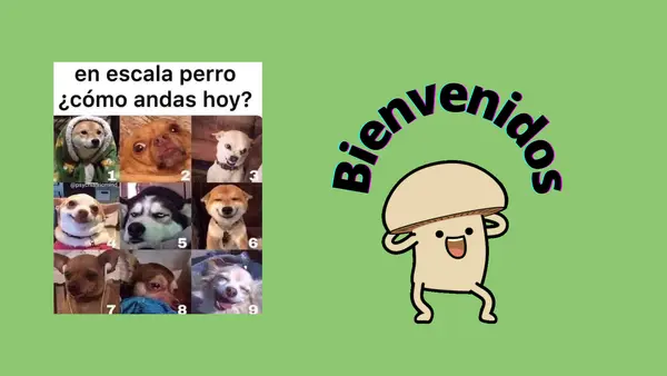 ​¡Aprende a Opinar! Presentación Interactiva: Tesis, Argumentos y Reflexión Crítica
