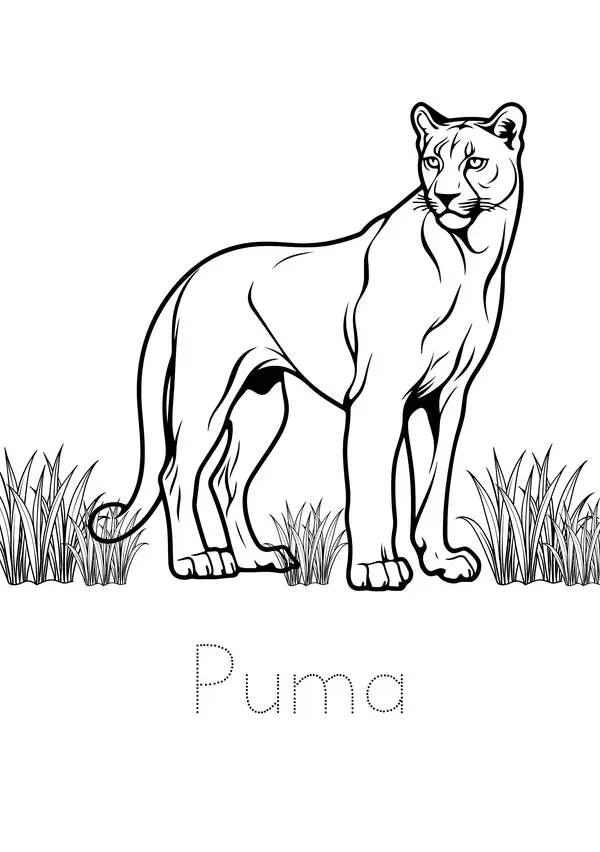 Animales sudamericanos para colorear 